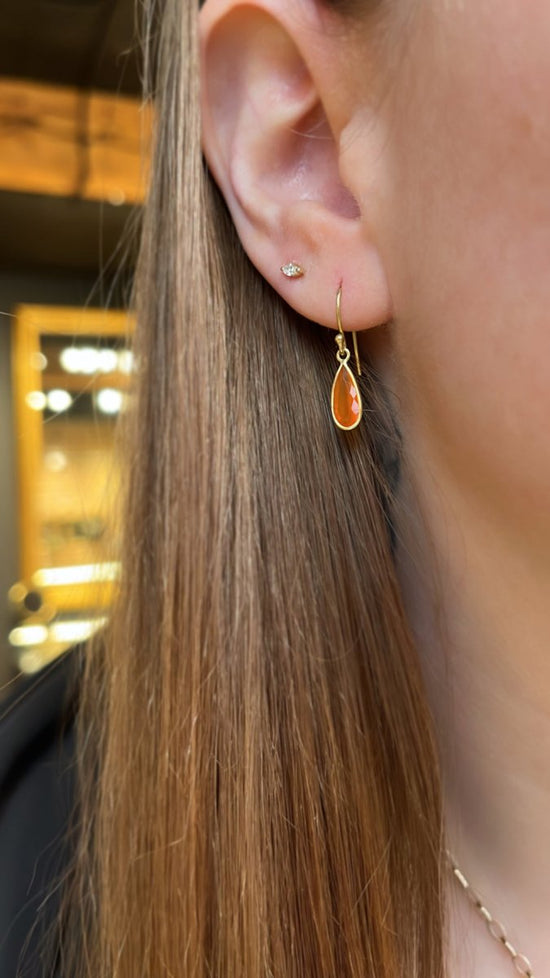 18k Gold Carnelian Small Petal Earrings