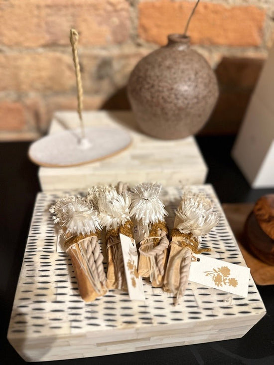 Palo Santo Solstice Moon Bundle